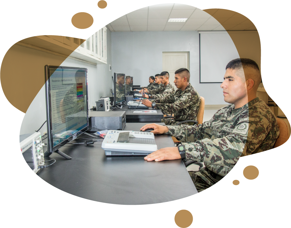 Wojskowi w biurze pracują przy komputerach
